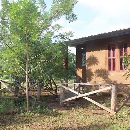 Wilpattu Holiday Home Nochchiyagama 외부 사진