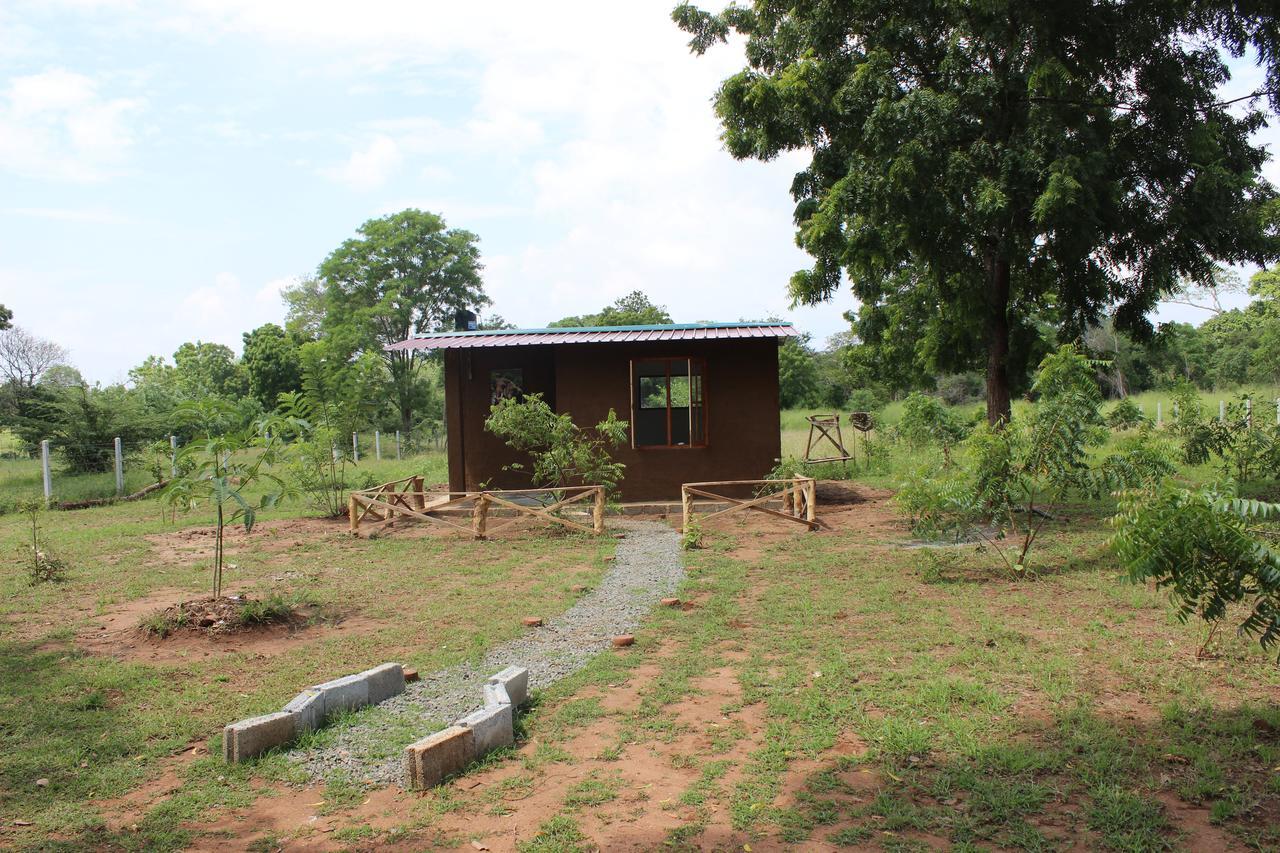 Wilpattu Holiday Home Nochchiyagama 외부 사진
