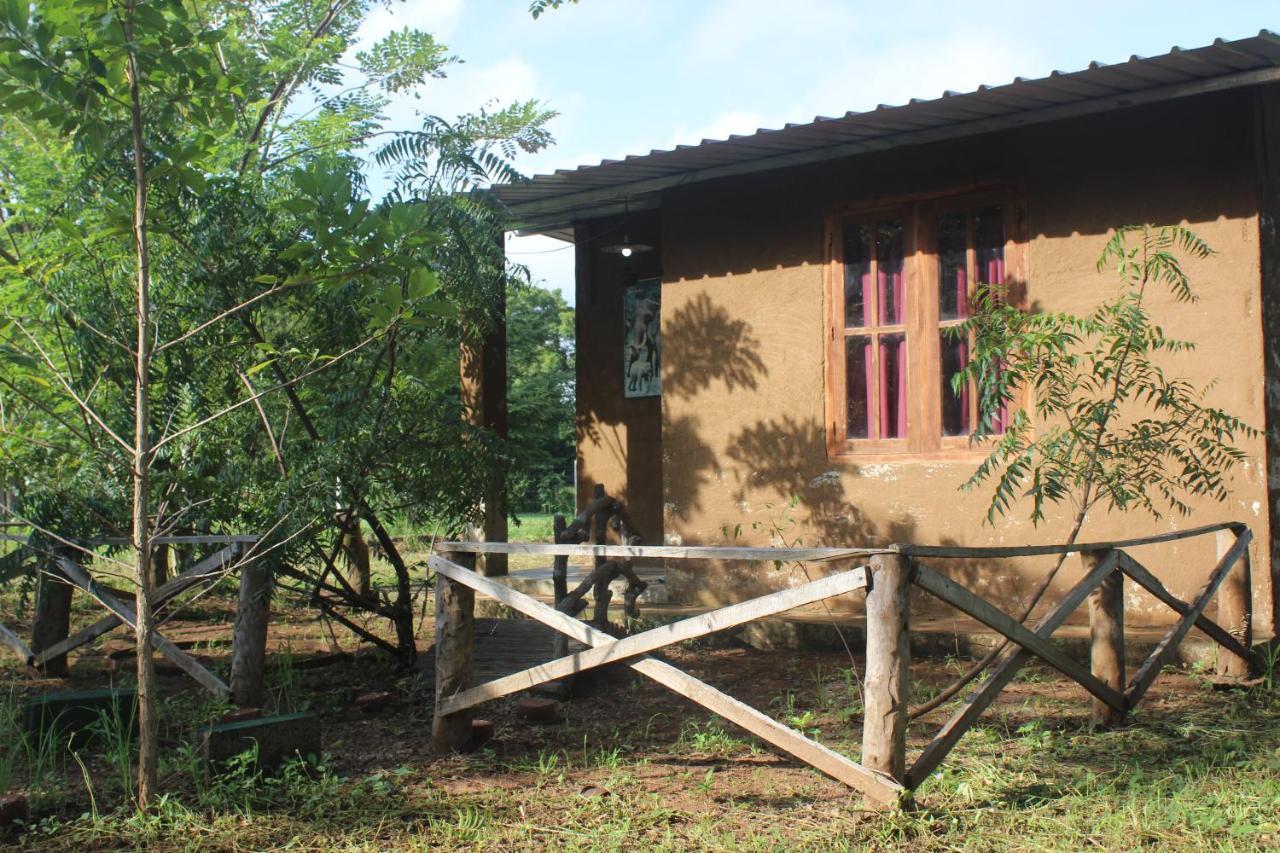 Wilpattu Holiday Home Nochchiyagama 외부 사진