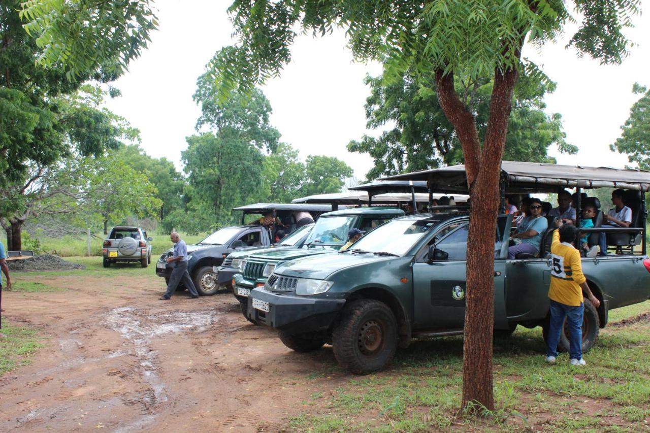Wilpattu Holiday Home Nochchiyagama 외부 사진
