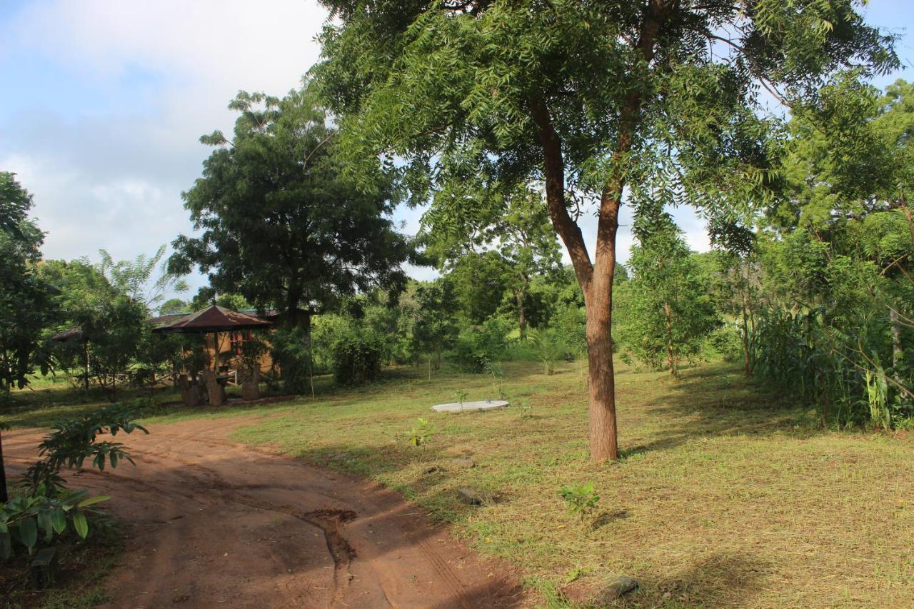 Wilpattu Holiday Home Nochchiyagama 외부 사진