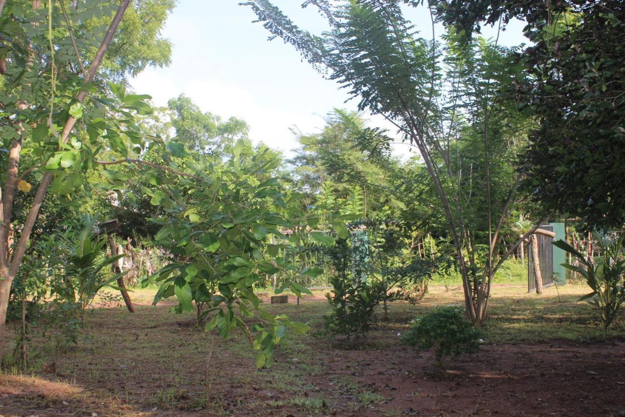 Wilpattu Holiday Home Nochchiyagama 외부 사진