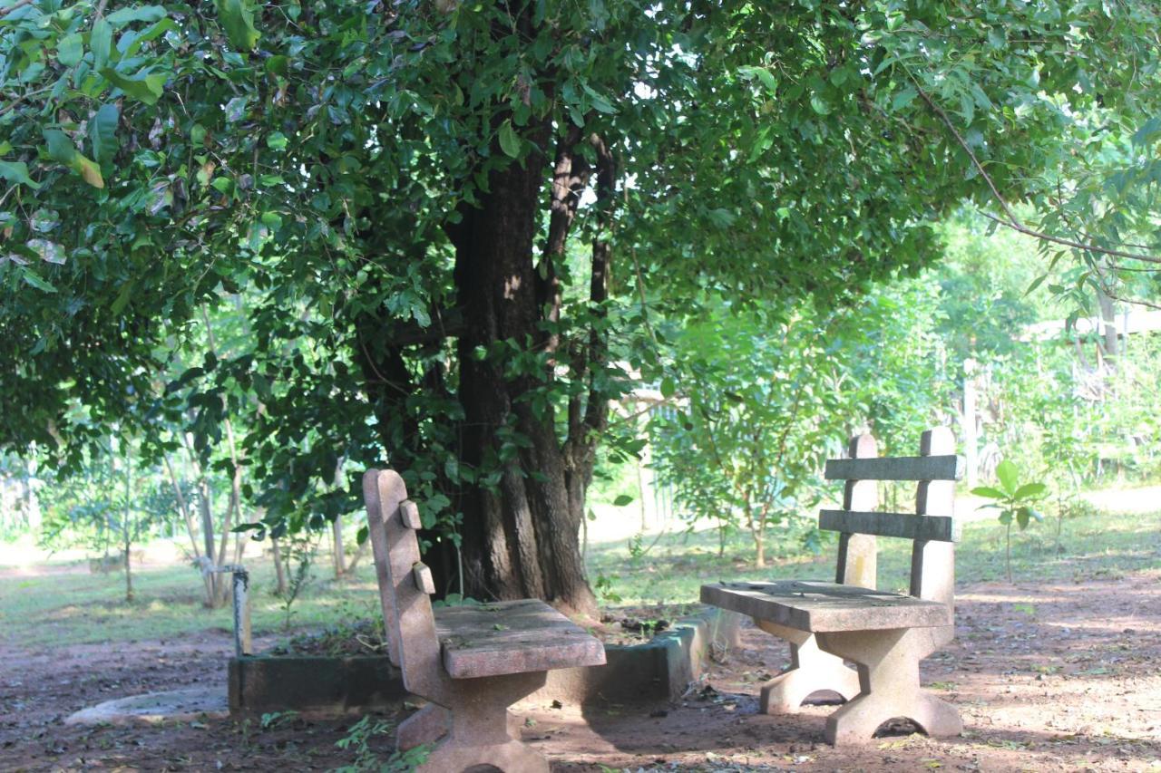 Wilpattu Holiday Home Nochchiyagama 외부 사진