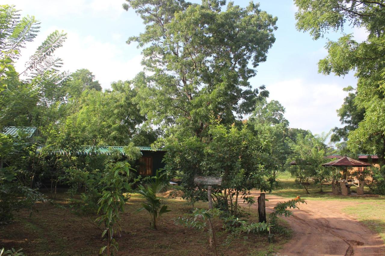 Wilpattu Holiday Home Nochchiyagama 외부 사진