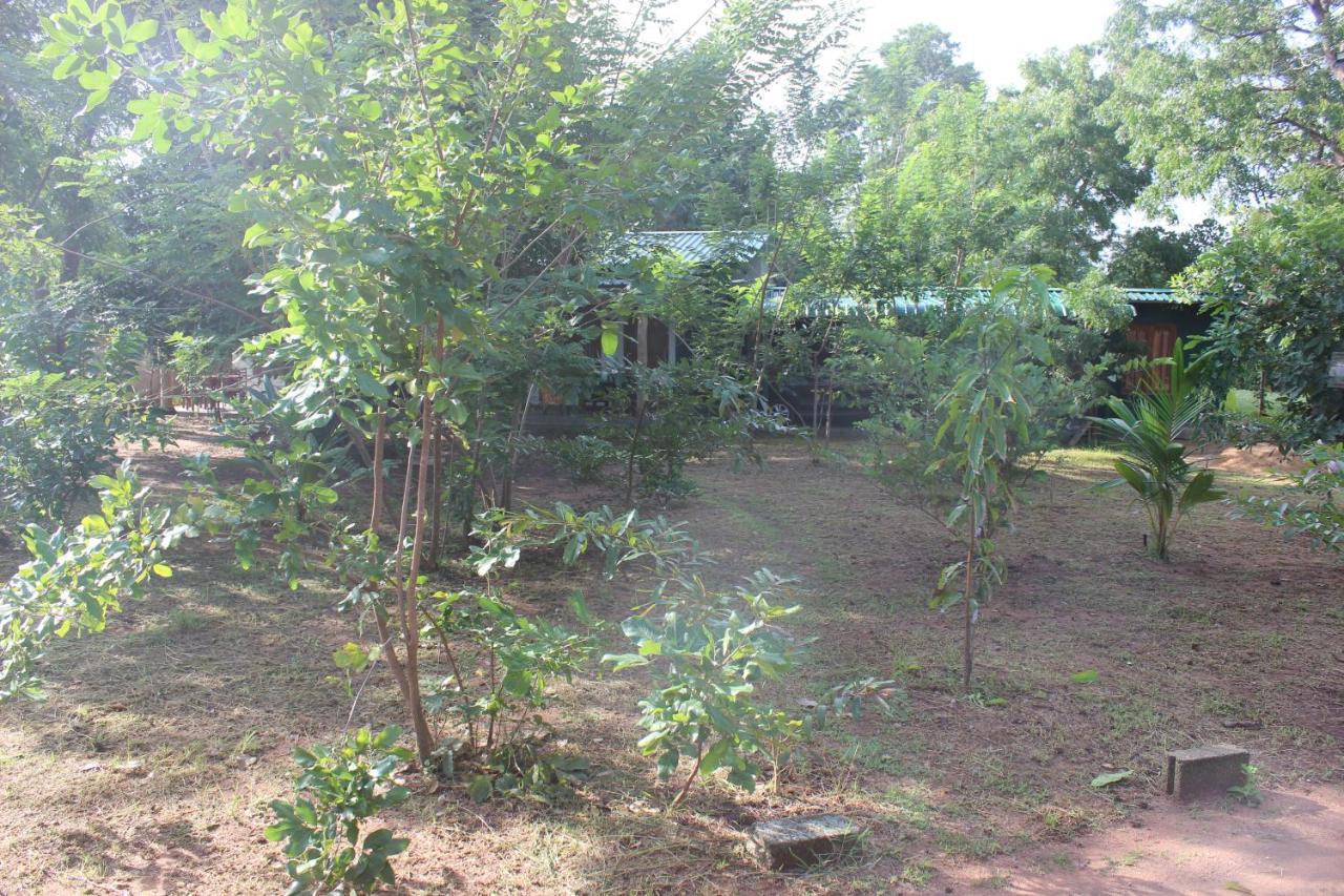 Wilpattu Holiday Home Nochchiyagama 외부 사진