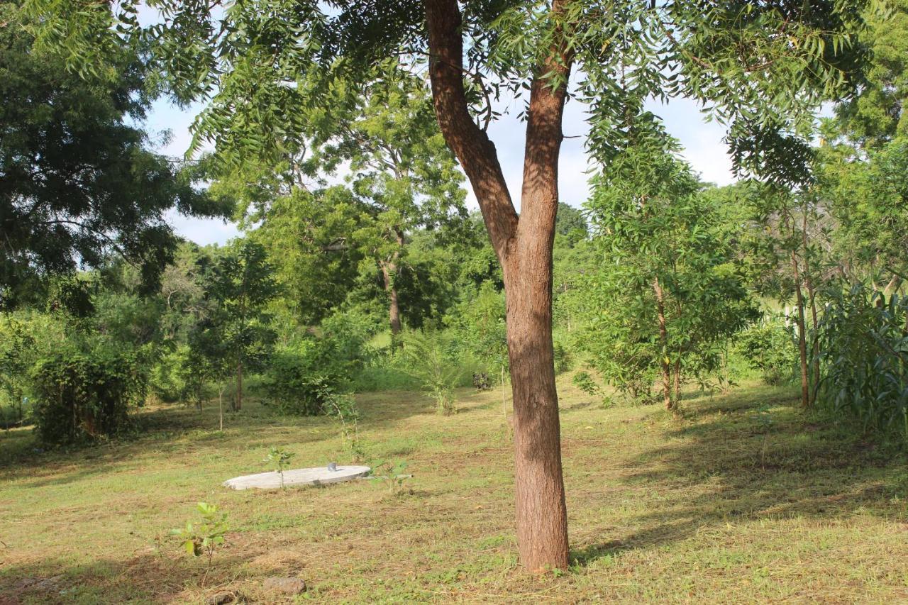 Wilpattu Holiday Home Nochchiyagama 외부 사진