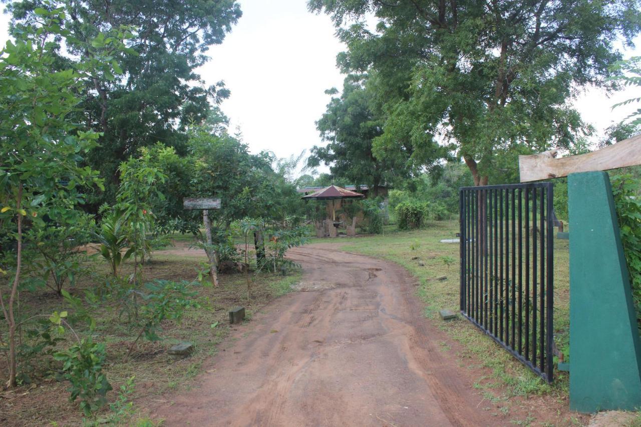 Wilpattu Holiday Home Nochchiyagama 외부 사진